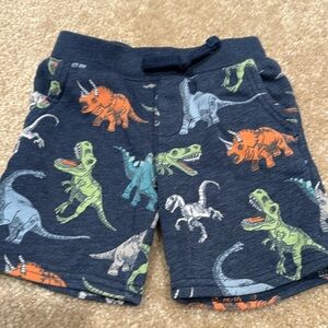 3T dinosaur shorts